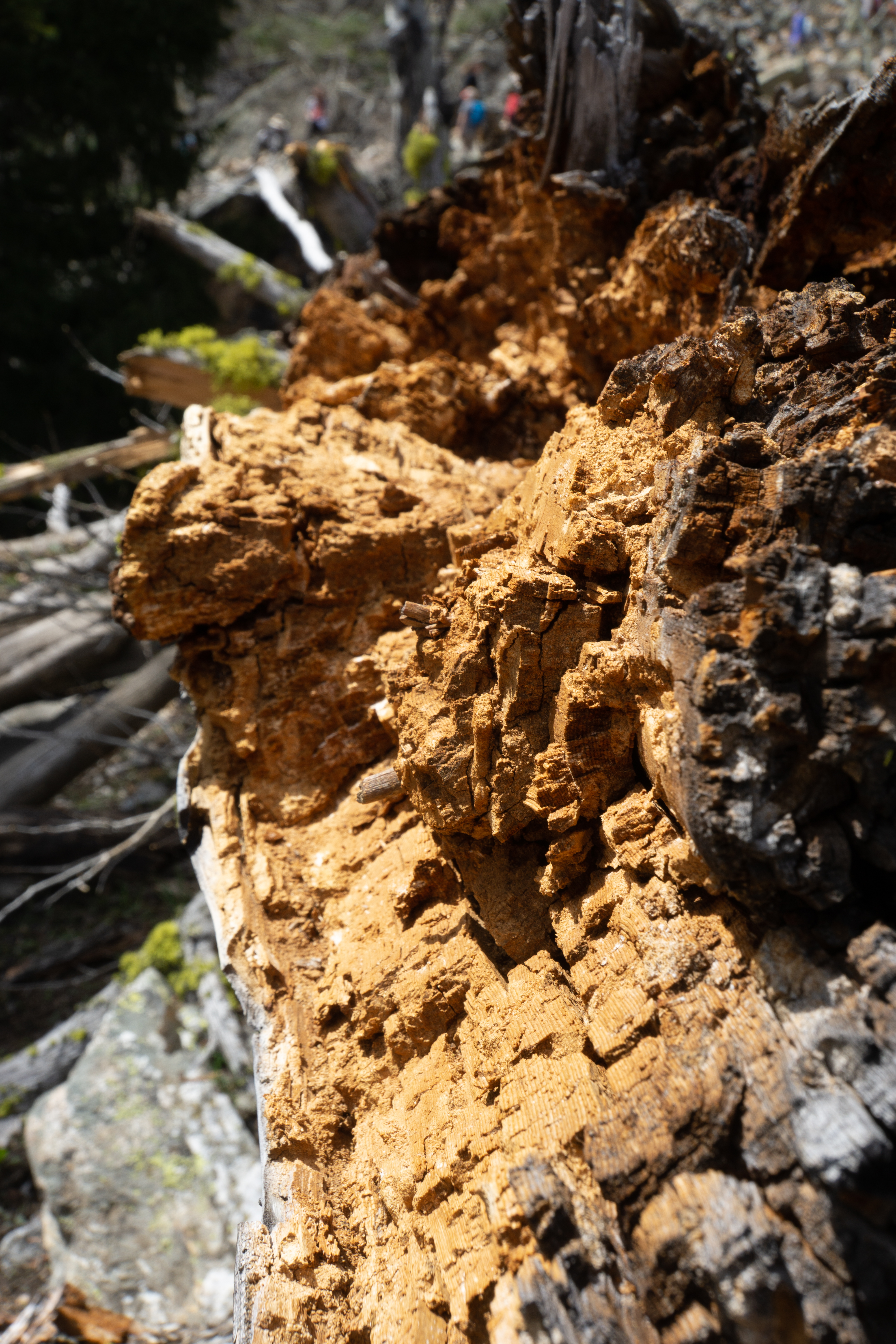 US National Parks 2022 37